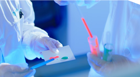 /ueditor/image/20260304/1772616822073394/24d46643eea0912ba3cb162b7f1810ad.png a4534863a893f1dc60317e5a1bf7875e.png